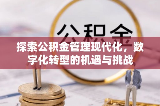 肇东探索公积金管理现代化，数字化转型的机遇与挑战