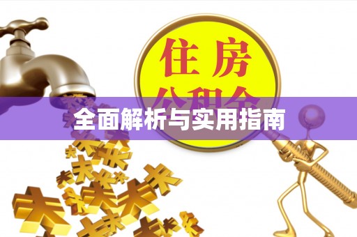 肇东全面解析与实用指南