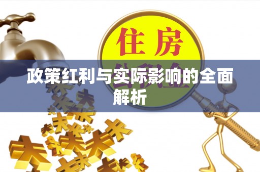 肇东政策红利与实际影响的全面解析