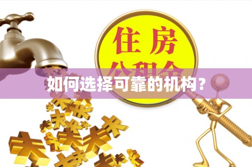 肇东如何选择可靠的机构？