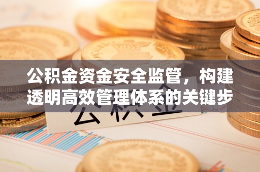 肇东公积金资金安全监管，构建透明高效管理体系的关键步骤