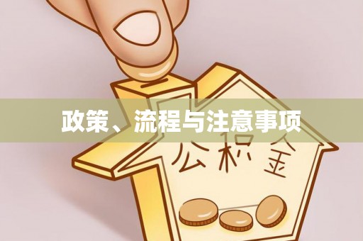 肇东政策、流程与注意事项