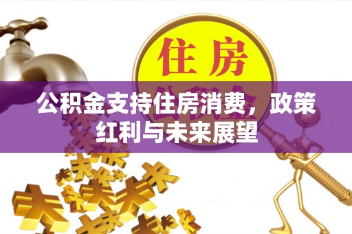肇东公积金支持住房消费，政策红利与未来展望