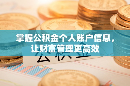 肇东掌握公积金个人账户信息，让财富管理更高效