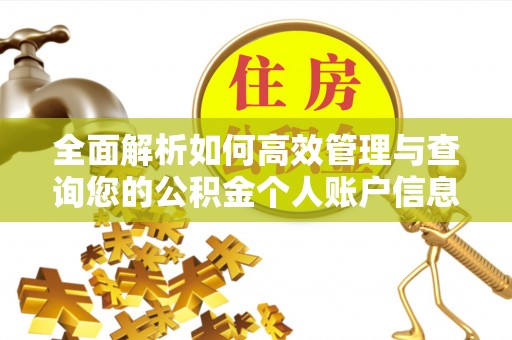 肇东全面解析如何高效管理与查询您的公积金个人账户信息