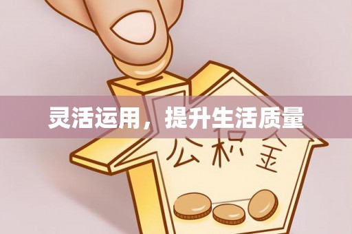 肇东灵活运用，提升生活质量