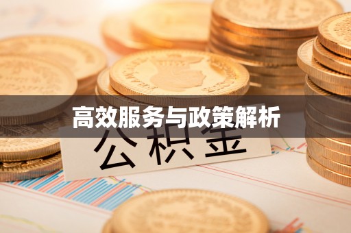 肇东高效服务与政策解析