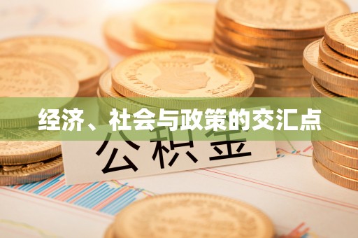 肇东经济、社会与政策的交汇点