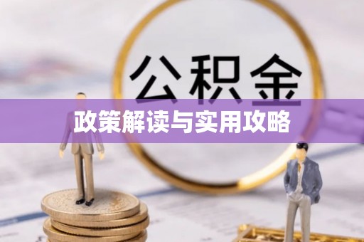 肇东政策解读与实用攻略