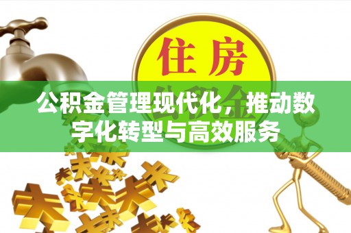 肇东公积金管理现代化，推动数字化转型与高效服务