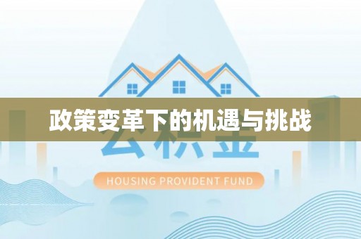 肇东政策变革下的机遇与挑战