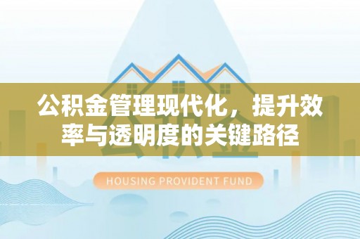 肇东公积金管理现代化，提升效率与透明度的关键路径
