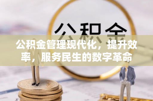 肇东公积金管理现代化，提升效率，服务民生的数字革命