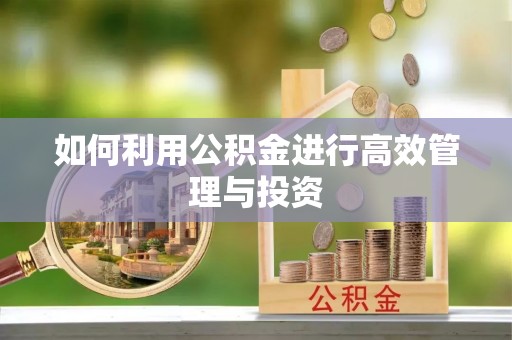 肇东如何利用公积金进行高效管理与投资