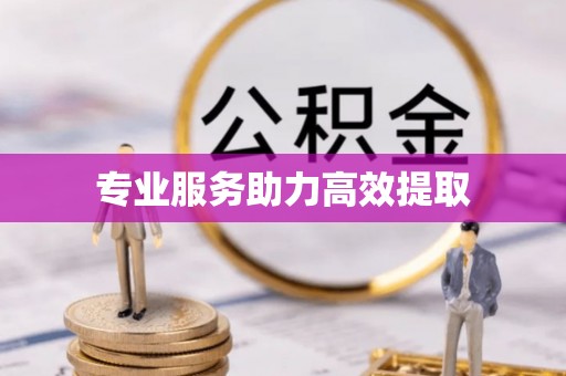 肇东专业服务助力高效提取