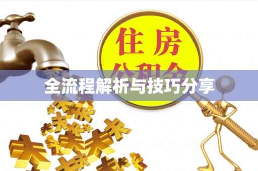 肇东全流程解析与技巧分享